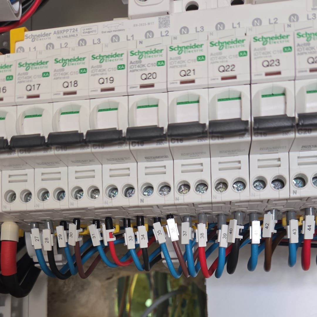 WhatsApp Image 2026-02-10 at 11.03.26